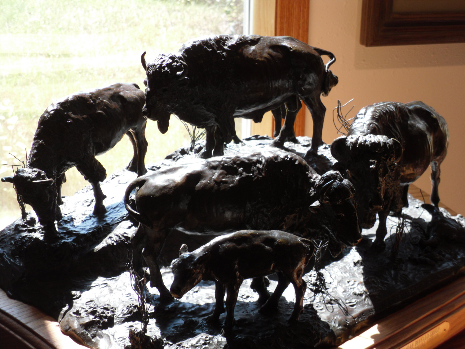 Fort Benton, MT Agriculture Museum-miniature of life-size Bison exhibit